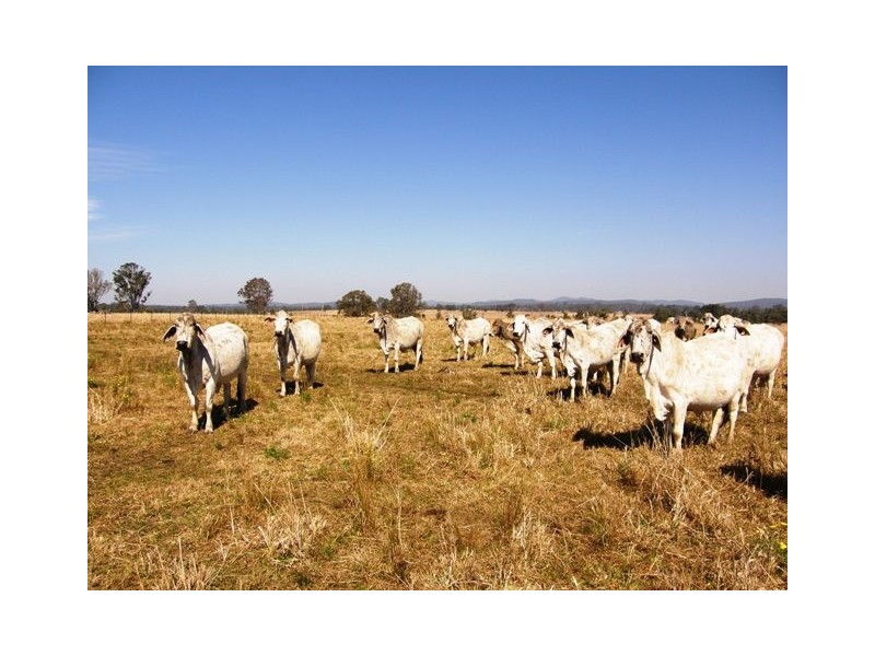 Various Lots Orara Downs Ln, Levenstrath NSW 2460