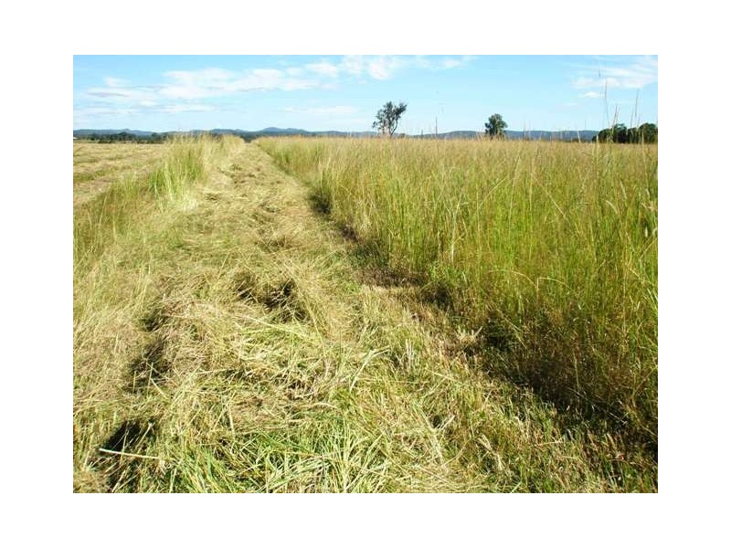 Various Lots Orara Downs Ln, Levenstrath NSW 2460