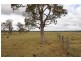 Lot 793 Old Punt Lane, The Whiteman NSW 2460