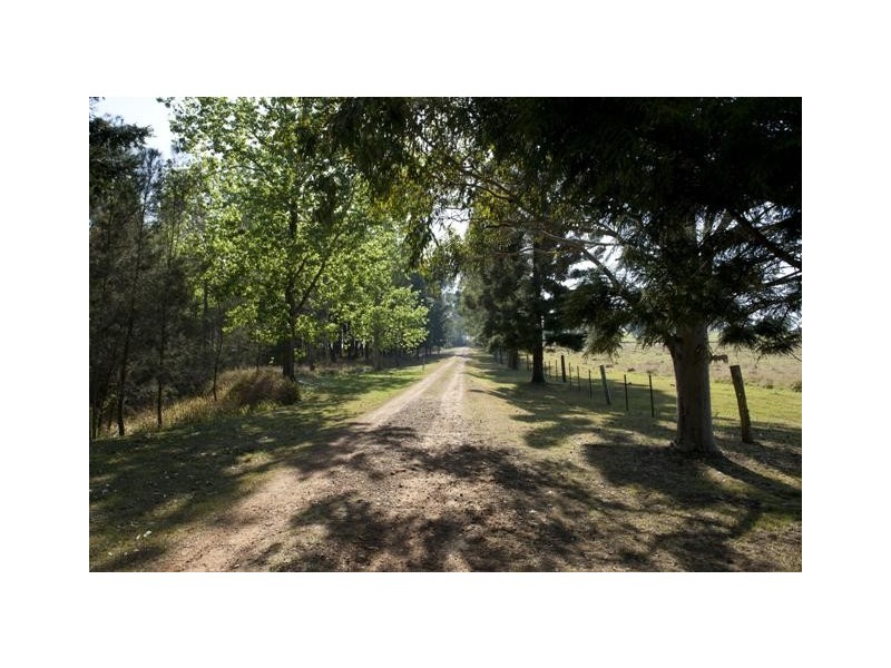 902 Rushforth Road, Elland NSW 2460