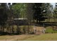902 Rushforth Road, Elland NSW 2460