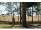 902 Rushforth Road, Elland NSW 2460