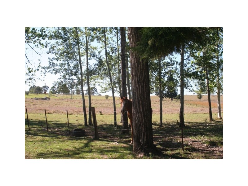 902 Rushforth Road, Elland NSW 2460