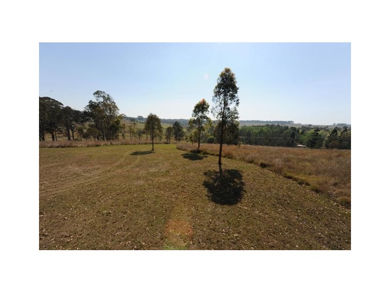 902 Rushforth Road, Elland NSW 2460