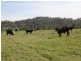2287 Clarence Way, Upper Copmanhurst NSW 2460