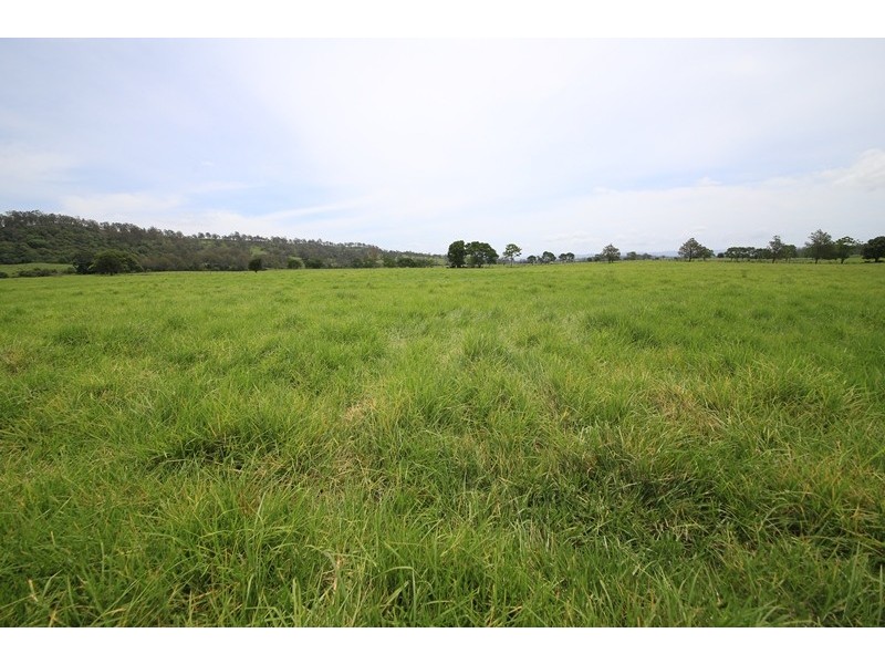 2287 Clarence Way, Upper Copmanhurst NSW 2460