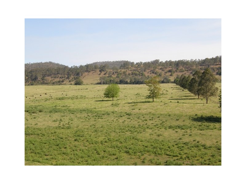 2287 Clarence Way, Upper Copmanhurst NSW 2460