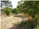 Lot 106 West Lanitza Road, Lanitza NSW 2460