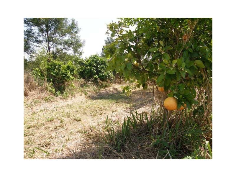 Lot 106 West Lanitza Road, Lanitza NSW 2460