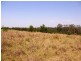 Lot 106 West Lanitza Road, Lanitza NSW 2460