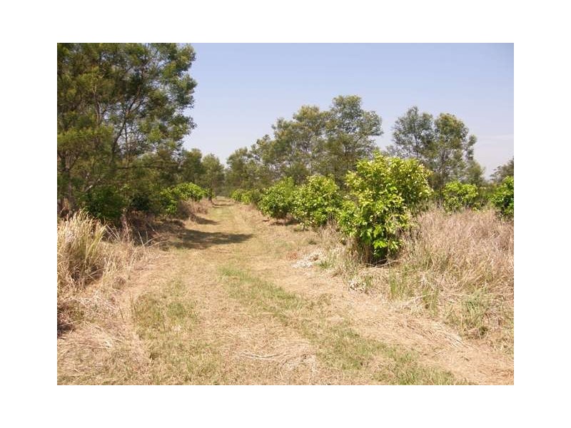 Lot 106 West Lanitza Road, Lanitza NSW 2460