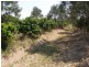 Lot 106 West Lanitza Road, Lanitza NSW 2460