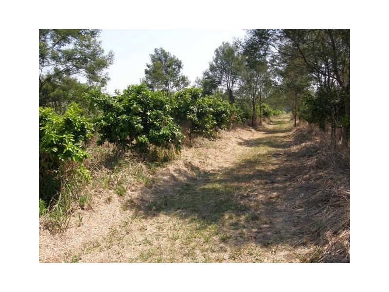 Lot 106 West Lanitza Road, Lanitza NSW 2460