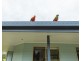 1143 Rushforth Road, Elland NSW 2460