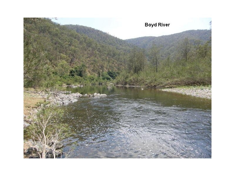 2981 Blacksmith Shop Road, Newton Boyd NSW 2370