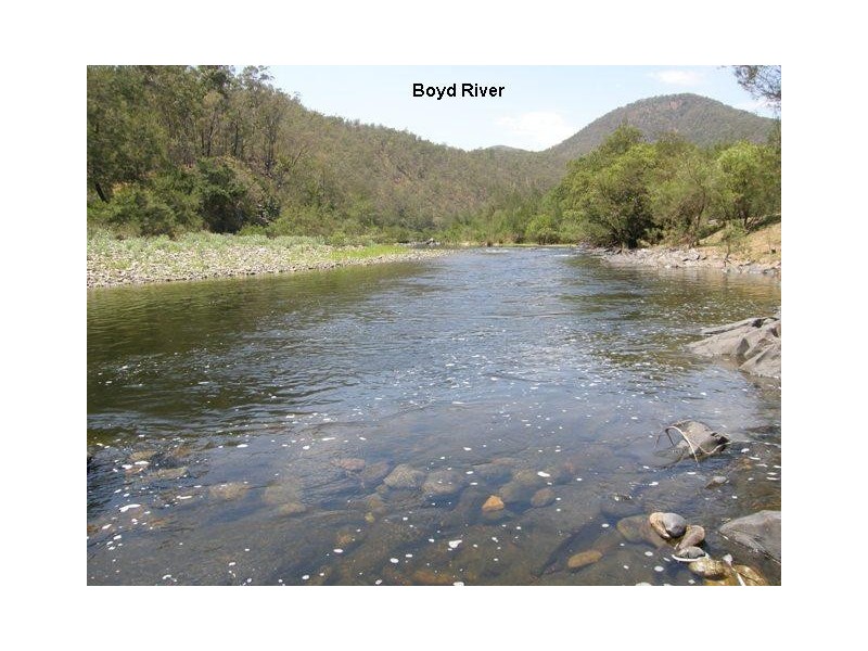 2981 Blacksmith Shop Road, Newton Boyd NSW 2370