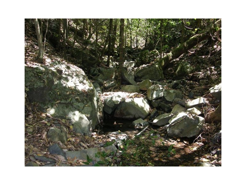 2981 Blacksmith Shop Road, Newton Boyd NSW 2370