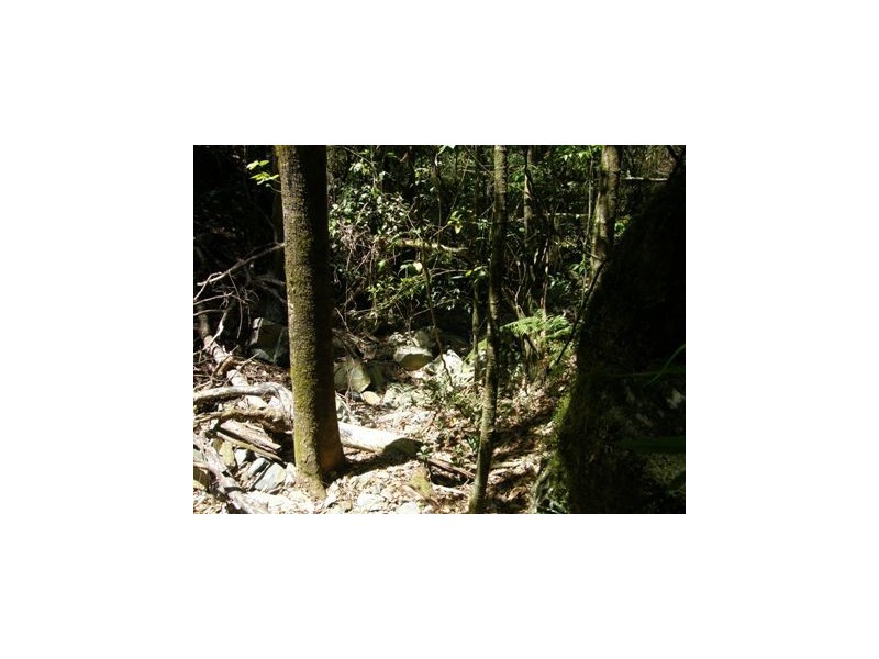 2981 Blacksmith Shop Road, Newton Boyd NSW 2370