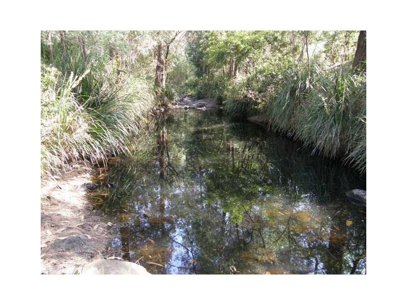 3390 Old Glen Innes Road, Buccarumbi NSW 2460