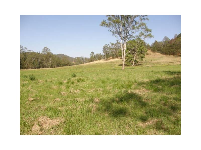 3390 Old Glen Innes Road, Buccarumbi NSW 2460