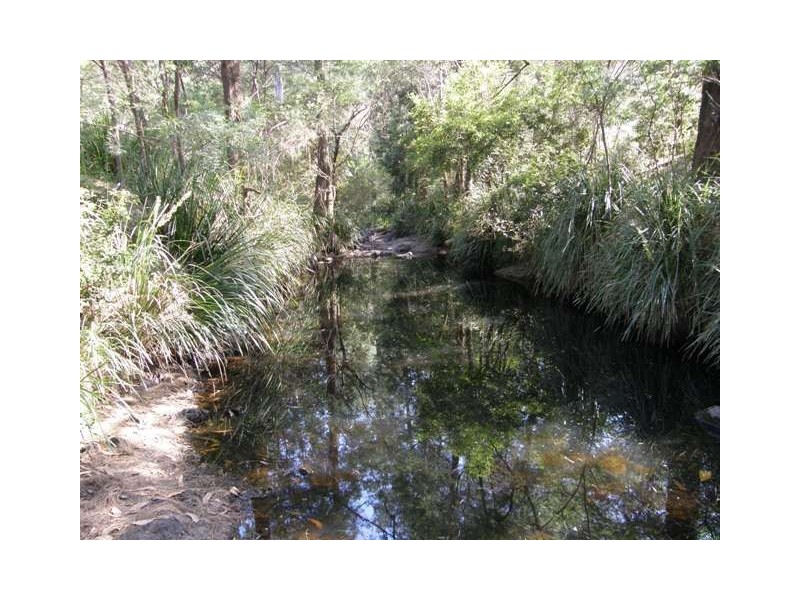 3390 Old Glen Innes Road, Buccarumbi NSW 2460