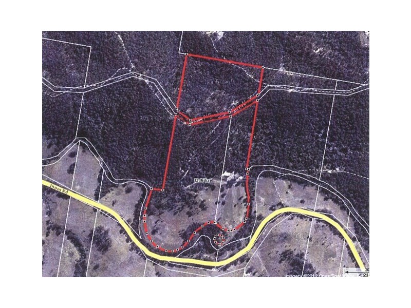 3390 Old Glen Innes Road, Buccarumbi NSW 2460