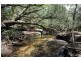 107 Whiteman Creek Road, The Whiteman NSW 2460