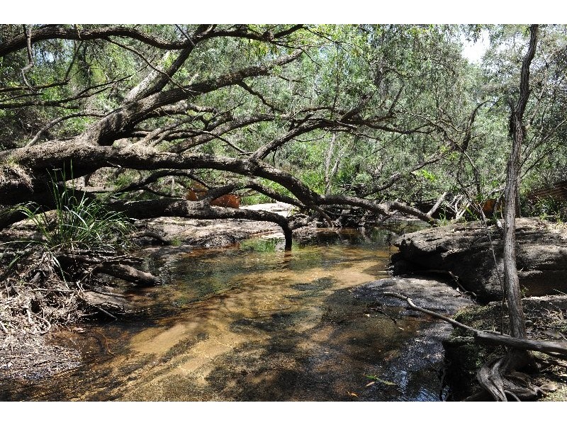 107 Whiteman Creek Road, The Whiteman NSW 2460