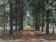 107 Whiteman Creek Road, The Whiteman NSW 2460