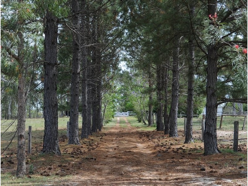 107 Whiteman Creek Road, The Whiteman NSW 2460