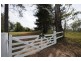 107 Whiteman Creek Road, The Whiteman NSW 2460