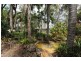 107 Whiteman Creek Road, The Whiteman NSW 2460