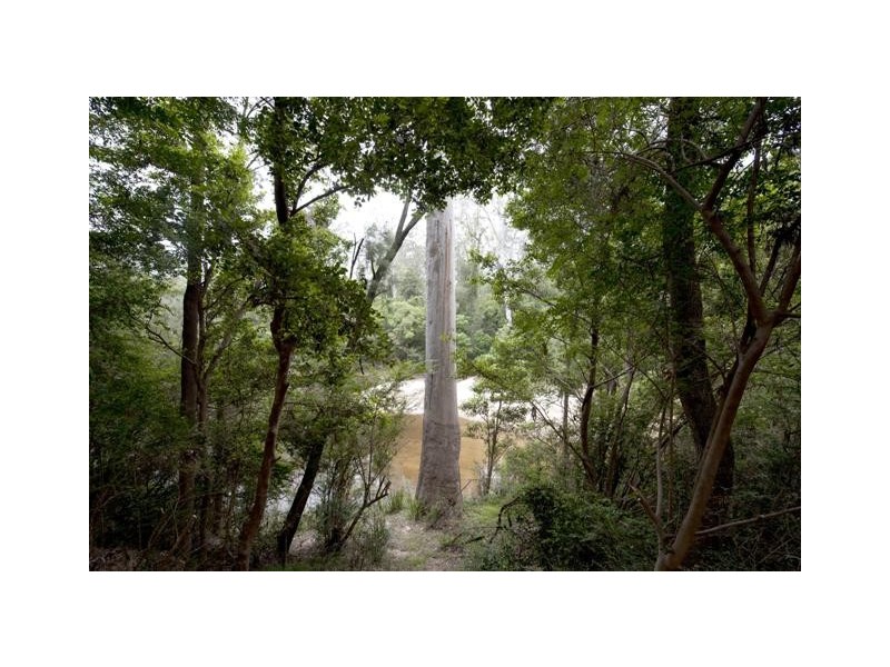 Lot 137 Curlew Drive, Lanitza NSW 2460