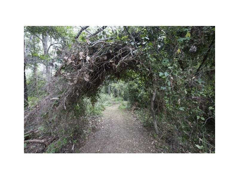 Lot 137 Curlew Drive, Lanitza NSW 2460