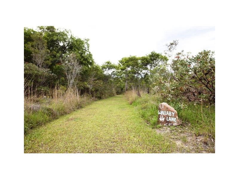 Lot 137 Curlew Drive, Lanitza NSW 2460