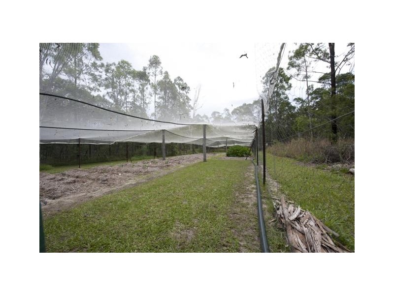 Lot 137 Curlew Drive, Lanitza NSW 2460