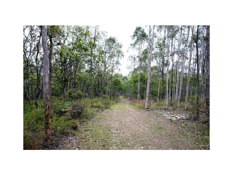 Lot 137 Curlew Drive, Lanitza NSW 2460