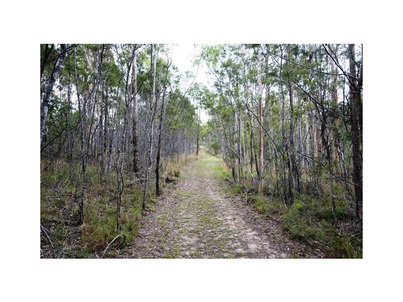 Lot 137 Curlew Drive, Lanitza NSW 2460