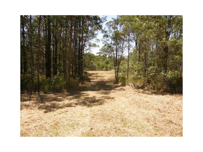 3196 Orara Way, Kremnos NSW 2460
