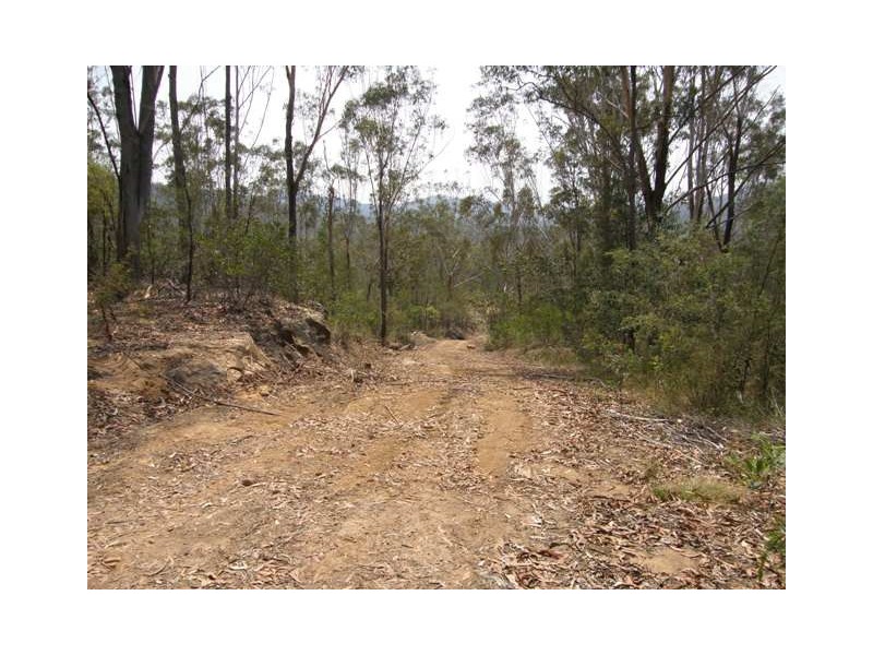 Lot 94 Armidale Road, Blaxlands Creek NSW 2460