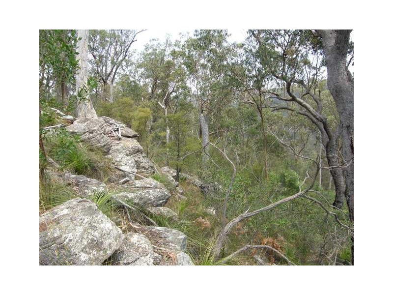 Lot 94 Armidale Road, Blaxlands Creek NSW 2460