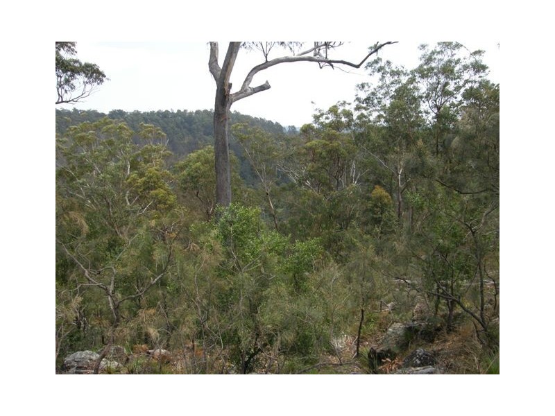 Lot 94 Armidale Road, Blaxlands Creek NSW 2460