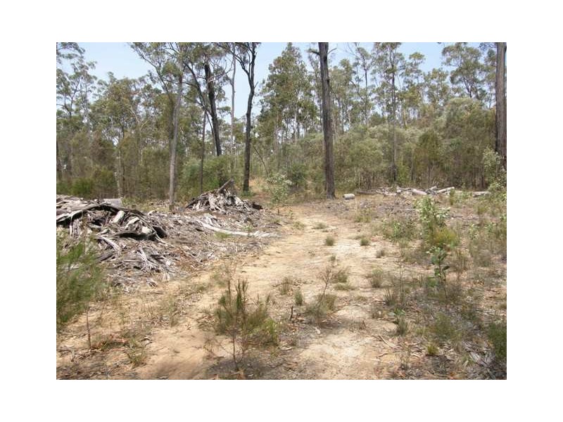 Lot 94 Armidale Road, Blaxlands Creek NSW 2460