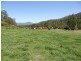 5819 Gwydir Highway, Cangai NSW 2460