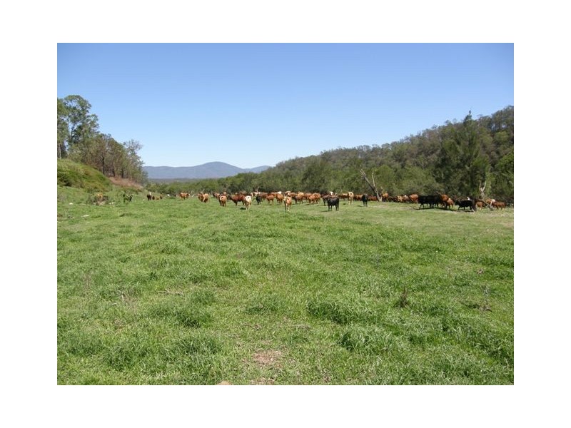 5819 Gwydir Highway, Cangai NSW 2460
