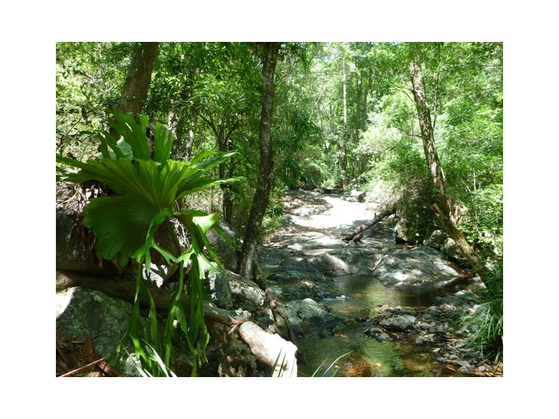 5819 Gwydir Highway, Cangai NSW 2460