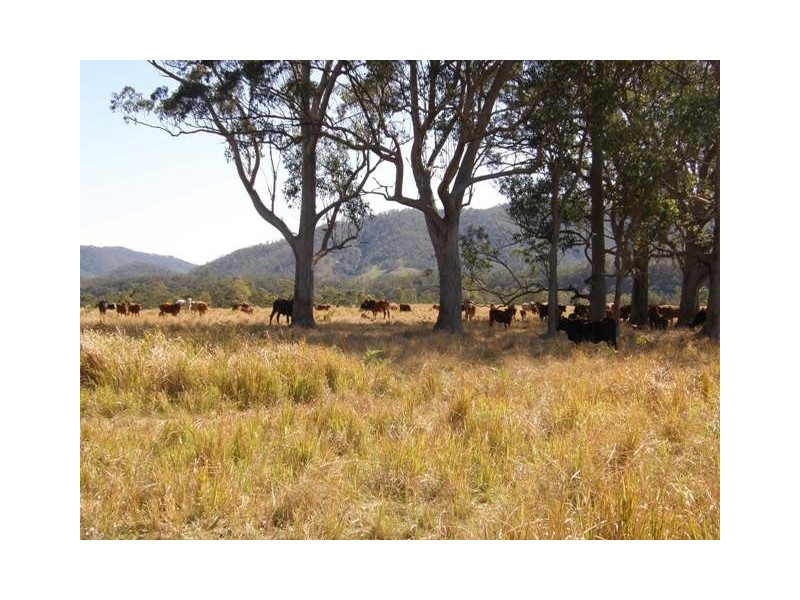 5819 Gwydir Highway, Cangai NSW 2460