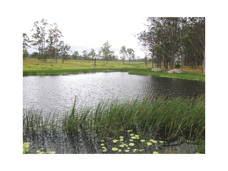 140 Coalmine Road, Nymboida NSW 2460