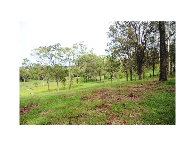 Lot 24 Lower Kangaroo Creek Road, Coutts Crossing NSW 2460