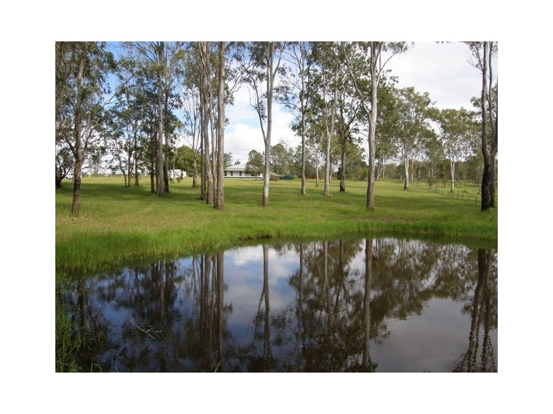 906 Clarence Way, Whiteman Creek NSW 2460